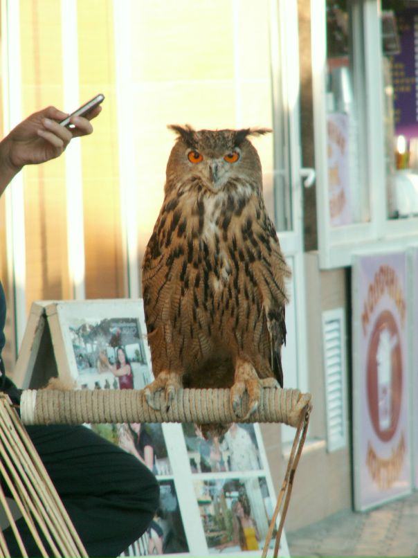 Димка Ищенко фотография #14