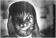 Діма Ярмольчук фотография #5 (источник - https://vk.com/id74836980)