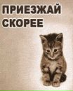 Юрій Романко фотография #37 (источник - https://vk.com/id71376054)