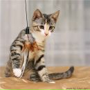 Фотография Крикуновой Лилии