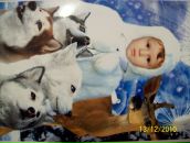 Фотография Бровина Елена