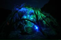 Фотография Наумовой Юлии