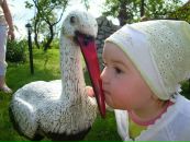 Марічка Пострільонна фотография #17 (источник - https://vk.com/id10175499)