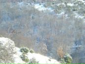 Sergei Михеденко фотография #30 (источник - https://vk.com/id63387404)