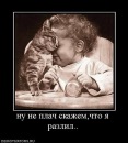 Фотография Гордеева Никиты