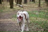 Фотография Соколовской Яны