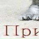 Оля Бондарчук--Варшавець фотография #49 (источник - https://vk.com/id52409522)