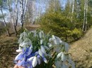Наталія Тимошенко фотография #9 (источник - https://vk.com/id159580212)