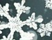 Ксюшка Хлебнік фотография #43 (источник - https://vk.com/id16374266)