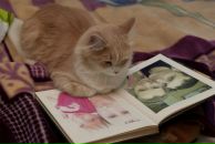 Фотография Лавлинской Елены