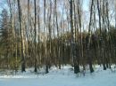 Андрій Бортник фотография #38 (источник - https://vk.com/id30871463)