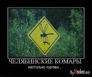 Виктор Иванов фотография #37 (источник - https://vk.com/id1087801)