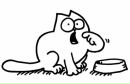Cat :-) фотография #2 (источник - https://vk.com/id132854911)