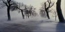 Фотография Игоревны Ольги