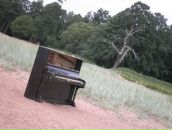 Фотография Морозовой Екатерины