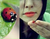 Софія Гриневич фотография #26 (источник - https://vk.com/id50368933)