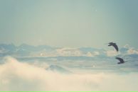 Фотография Alla Alla