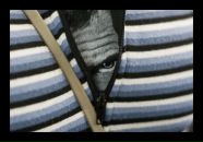 Фотография Сущевой Насти