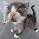 Андрій Мельник фотография #7 (источник - https://vk.com/id135262394)