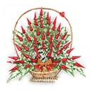 Квіти Розмовляють фотография #41 (источник - https://vk.com/id71756544)