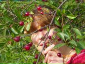 Фотография Тепловой Юлии