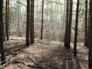 Елена Шестернина фотография #33 (источник - https://vk.com/id3179533)