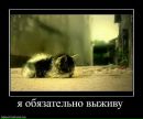 Соня Кіцила фотография #15 (источник - https://vk.com/id139174315)