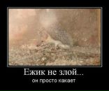 Илья Дербин фотография #7 (источник - https://vk.com/id521537)