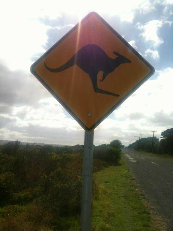 Эндрю Гудвин фотография #10