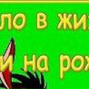 Сергій Гриник фотография #42 (источник - https://vk.com/id69985995)