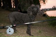 Фотография Макариной Ксении