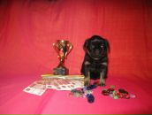 Фотография Тараникова Галина