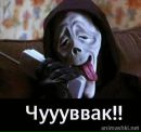 Влад Мокійчук фотография #30 (источник - https://vk.com/id159275316)