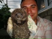 Фотография Федюшкина Дмитрия