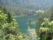 Фотография Галкина Евгения