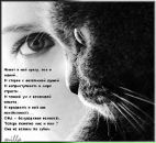 Фотография Галиуллиной Эвелины