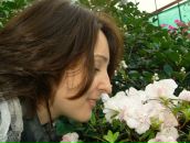 Фотография Соколовой Анастасии