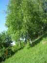 Вікторія Бакун фотография #36 (источник - https://vk.com/id94725443)