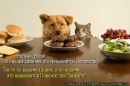 Фотография Кислицыной Анастасии