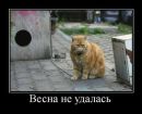 Фотография Масямка Про