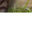 Василина Ходовіцька фотография #32 (источник - https://vk.com/id61334995)