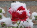 Фотография Бабушкиной Надежды