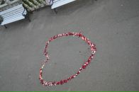 Іванка Арійчук фотография #37 (источник - https://vk.com/id28089190)