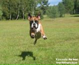 Міша Топоринський фотография #25 (источник - https://vk.com/id62491474)