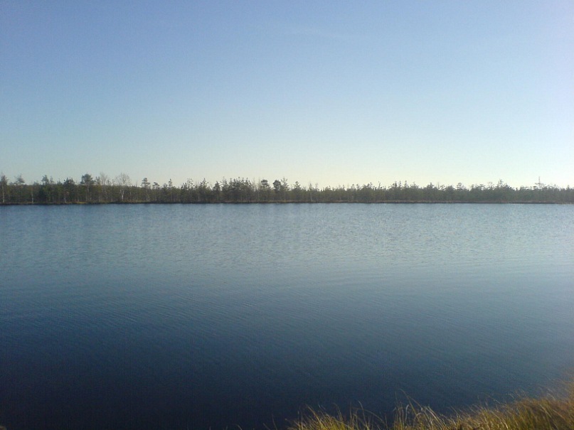 Александр Галкин фотография #19