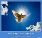 Ірина Шевченко фотография #26 (источник - https://vk.com/id17011710)