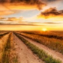 Олександр Іванов фотография #34 (источник - https://vk.com/id4156632)