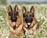 Діма Нікітін фотография #37 (источник - https://vk.com/id38752740)