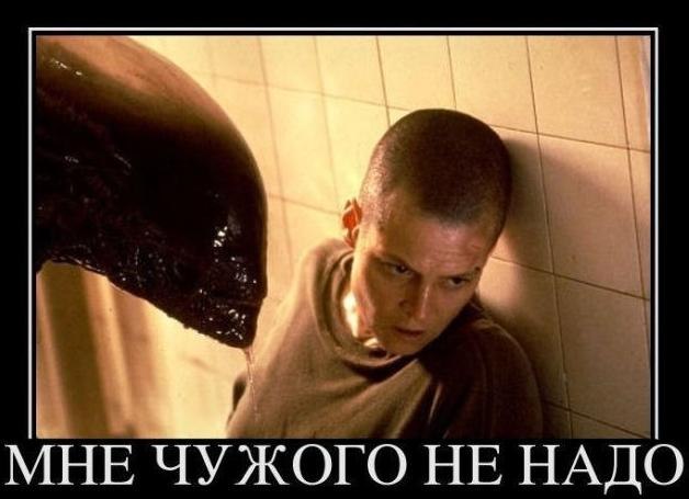 Дмитрий Грачев фотография #37