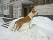 Фотография Ерошевича Олега